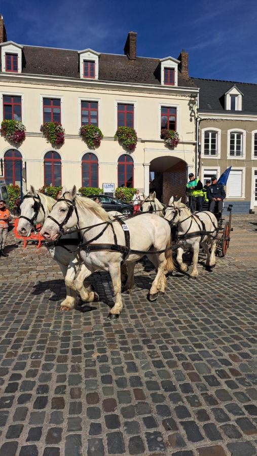 Gite La Grange 8Personnes Au Sein D'Un Elevage De Chevaux Brucquedal Luaran gambar
